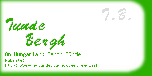 tunde bergh business card
